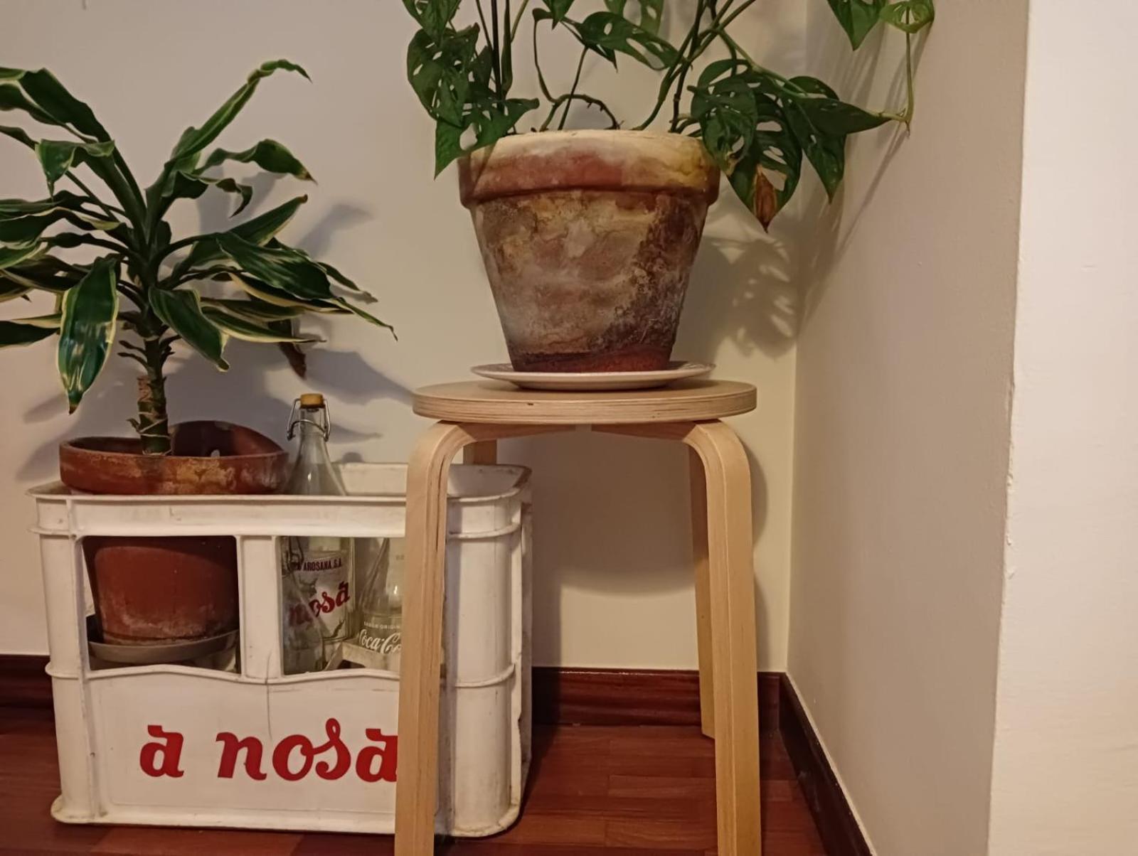 La Maceta Apartment Vilagarcia de Arousa Bagian luar foto